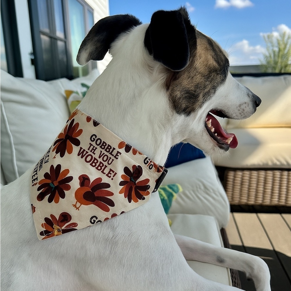 Handmade Thanksgiving Turkey Print Dog Bandana fits 1” collar